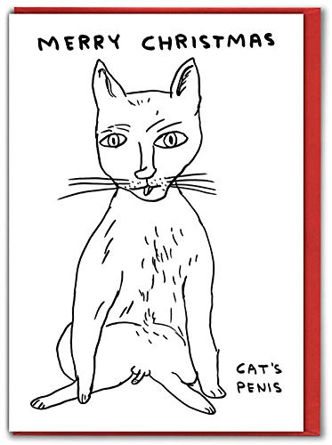 Brainbox Candy Official David Shrigley - Rude Funny Cat Christmas Cards - Offensive Christmas Cards - Perfect For Best Friends Mates Him Her Husband Wife - Sold Exclusively