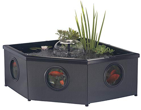 Blagdon Affinity Grand Corner Living Water Feature Eckteichbecken für Wasserlebewesen mit Inpond 5-in-1-Filterpumpe 3000, UV-Klärer, LED-Strahler, 3 Springbrunnenköpfen, 1 Pflanzkorb