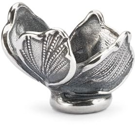 Trollbeads Charm Unisex TAGBE-10249