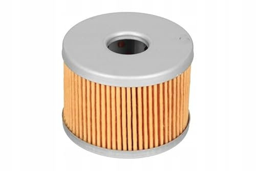 Benelli 169124320000 Filtro Olio BN125 / TNT125 Ricambio Originale