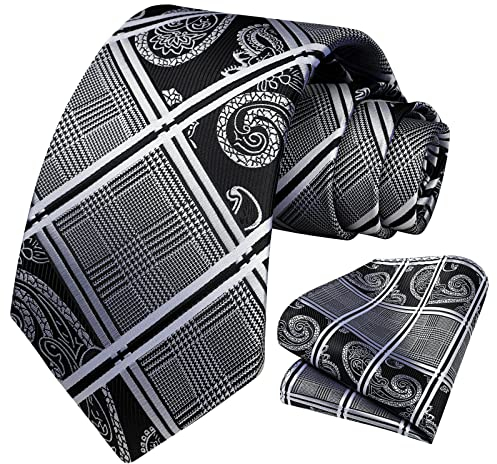 HISDERN Paisley Krawatten für Herren Hochzeitskrawatte Einstecktuch Herren Krawatte & Einstecktuch Set