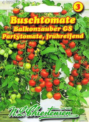 Buschtomate Balkonzauber GS (Portion)