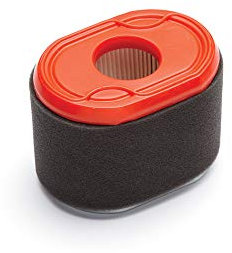 Briggs & Stratton Filtre à air 796970.