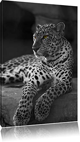 Pixxprint Wachsamer Leopard auf Felsen liegend B&W, Größe: 60x40cm, Leinwandbild, fertig gespannt, Wandbild, Dekoration, Kunstdruck, kein Poster
