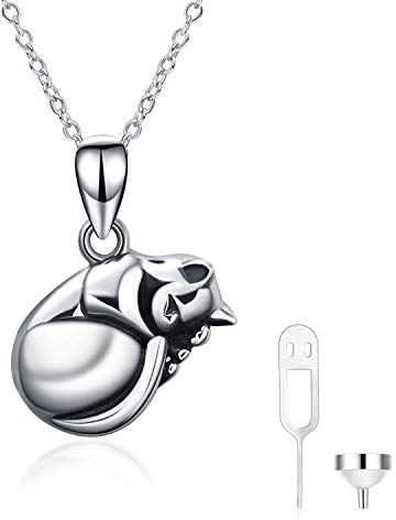 ONEFINITY Collar de urna de gato o perro para cenizas, plata de ley, recuerdo de gato/perro, colgante conmemorativo para mascotas, regalo para mujeres y hombres, Talla única, Plata esterlina