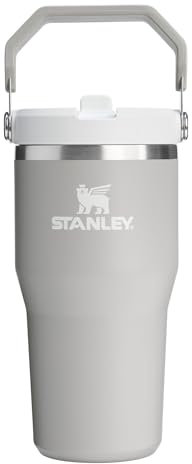 Stanley IceFlow 2.0 Flip Straw Tumbler with Handle 20 oz | Twist On Lid and Flip Up Straw | Leak Resistant Water Bottle | Insulated Stainless Steel | BPA-Free | Ash