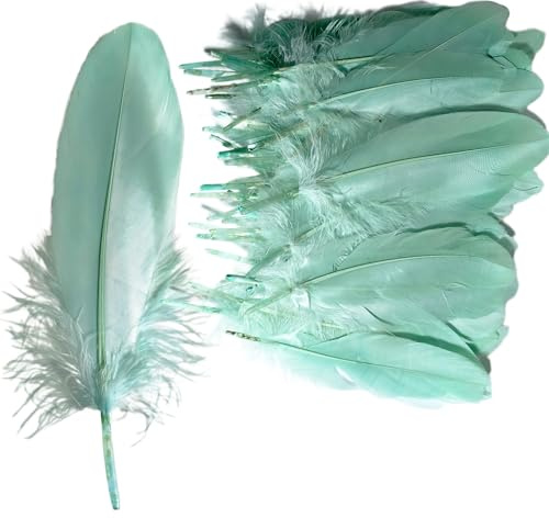 syiyunran Plumas Naturales - 50 Piezas para Decoraciones de Boda DIY, Máscaras Plumas, Decoración Atrapasueños Colores se Puede Utilizar como Accesorios Fiestas, Actuaciones, etc (Verde Menta)