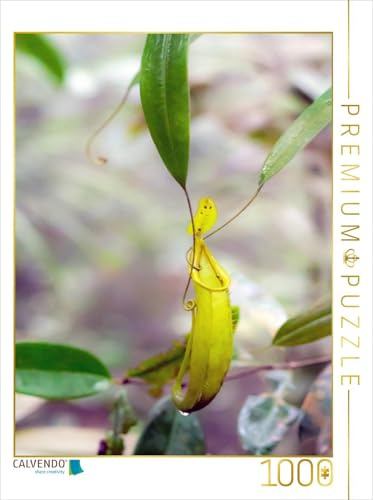 CALVENDO Puzzle Kannenpflanze | 1000 Teile Lege-Größe 48 x 64 cm Foto-Puzzle für glückliche Stunden