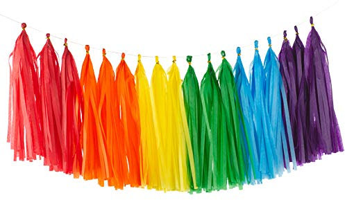 30 Stück Bunt Quaste Girlande,Seidenpapier Tassel Girlande für Baby Dusche Deko,Geburtstag,Hochzeit Party Dekoration 