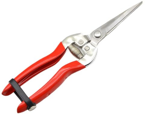 Forbici da taglio | Forbici per podar per fiori in acciaio inox | Forbici da giardino per bonsai | Forbici per fiori, bonais, uva, viti e aranci