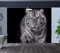 Wallpaper White Tiger Blue Eye Stare Nature Wildlife Wall Mural Photo - 2XL