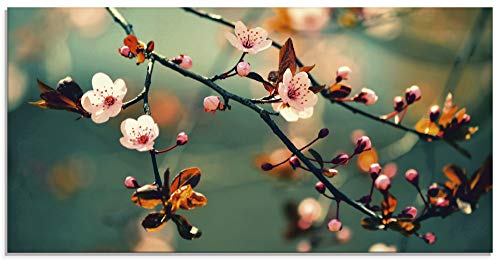 ARTland Wanddeko Glasbilder Wandbild Glas Bild einteilig 100x50 cm Querformat Natur Botanik Blumen Blüten Japan Kirschblüte Asien Zweig Frühling T5VP