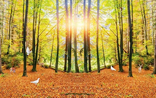Papier Peint 350x245cm Fresque Intissé 3D Papier Peint Panoramique Nature Peinture Murale Chambre Salon Paysage De Bois Vert Ensoleillé