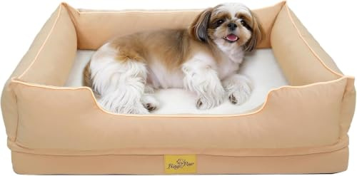 BingoPaw Orthopädisches Hundebett Kleine Hunde, Hundesofa abnehmbar 77x63cm | waschbar Hundekorb mit dickem flachem Schaumstoff, Hundecouch mit hohem Rand, wasserdicht rutschfest, beige