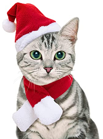 NAMSAN Katzen-Weihnachtsmannmütze, Schal, Kleiner Hund, Weihnachtskostüm, Weihnachtsmann-Hut mit rotem Schalldämpfer für Kätzchen, Hund, Kaninchen, Statue, Spielzeugdekoration