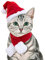 NAMSAN Katzen-Weihnachtsmannmütze, Schal, kleiner Hund, Weihnachtskostüm, Weihnachtsmann-Hut mit rotem Schalldämpfer für Kätzchen, Hund, Kaninchen, Statue, Spielzeugdekoration