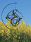 POMMERNTRAUM ® | Edelstahlwindspiel MIT STÄNDER + 4 cm KRISTALL | Windspiel Edelstahl | Winddancer | Double-Twister | Gartenstecker | Gartenkunst (40 cm MIT STÄNDER + KRISTALL)