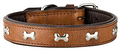 Schnüffelfreunde Lisa Halsband für Hunde aus Leder mit Applikation, Hundehalsband für den großen und mittleren Hund (L - 36-45cm, Braun)