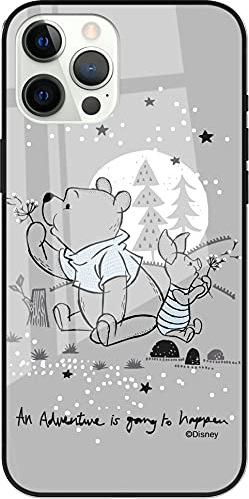 ERT GROUP mobile phone case for Apple Iphone 12 PRO MAX original and officially Licensed Disney pattern Winnie the Pooh and friends 008 made of hardened glass, protective cover