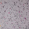 Aquariss 2PCS PVC Wall Panel 1m Wide x 2.4m Long x 10mm Thick Large Bathroom Wet Wall Cladding Shower Panel Gloss White Sparkle