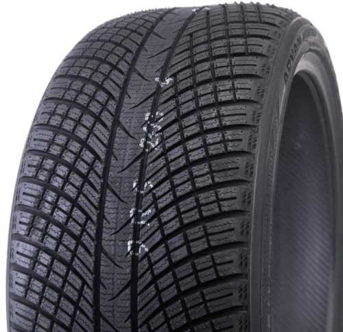 225/40R19 93W XL Advan Winter V907