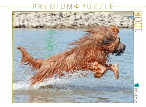 CALVENDO Puzzle Briard voller Lebensfreude beim Spielen | 1000 Teile Lege-Größe 64 x 48 cm Foto-Puzzle für glückliche Stunden