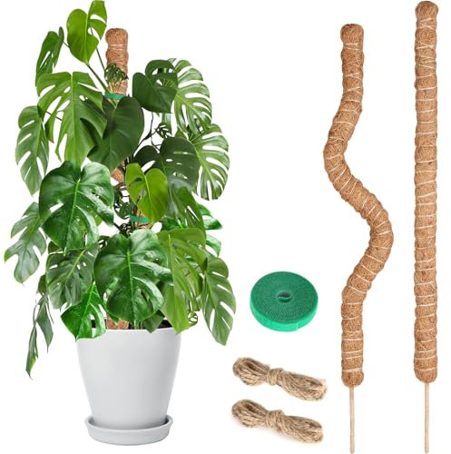 Moss Pole for Monstera, 100CM, 2 Pcs Sticks, Plant Supports for Indoor Plants, for Climbing Vines, Pothos, Potted, Comes with Velcro Tape and Hemp Rope