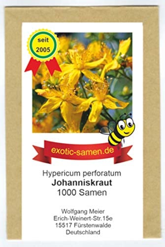 Johanniskraut - Bienenweide - Heilpflanze des Jahres 2019 - Hypericum perforatum - Zier-/Arzneiplanze - 1000 Samen