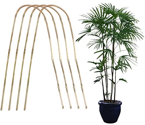 WIVAYE Set of 4 Bamboo Plant Trellis,60cm Tall U-Hoops Plant Support Trellis for Climbing Plants, U-shaped Bamboo Stakes for Climbing Flowers and Vines, Vegetables and Fruits