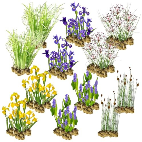 vdvelde.com - Helophyten-Filter-Mix - Für ca. 10 m² - 120 einzelne Filterpflanzen - 4 Arten Teichpflanzen - Für Teich-Sumpf-Filter - Strapazierfähige Pflanzenfilterpflanzen