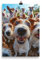 Generisch Tierisches Selfie Poster - Jack Russel Terrier macht Foto mit Kumpels, Kunst-Druck, Geschenk für Hunde-Fans und Hunde-Liebhaber, Witzig, Lustig, Ungerahmt
