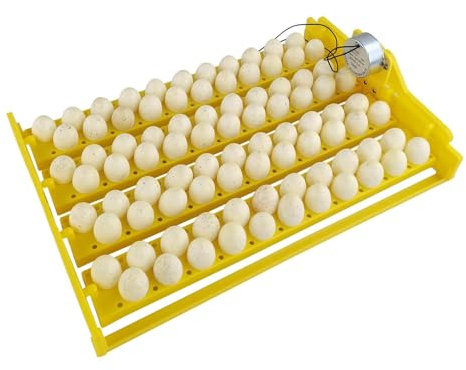 Automatischer Eierbrutkasten – 88 automatische Eierbrutmaschine, vollautomatischer Inkubator | Automatische Brutmaschine für Wachteln, Enten
