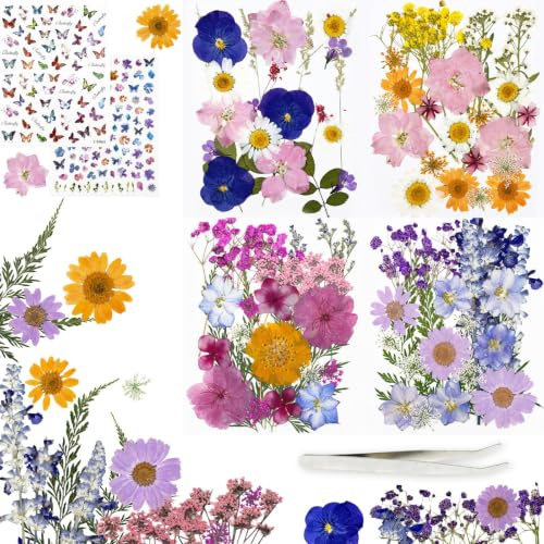 Soodyoow 200 Stück Bunte Getrocknete Gepresste Blumen mit Schmetterlingsaufkleber, Trockenblumen zum Basteln, Blumen Basteln mit Echten Naturblumen für Kunstharz, Nagelkunst, Kerzen, DIY-Schmuck
