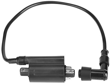 29700 Komponenten Ersatz Für Die Verteilung Von Autoteilen Zündspule Ersatz Für 2653 Gas 260 265 285 320 425 445 455 F725 F911
