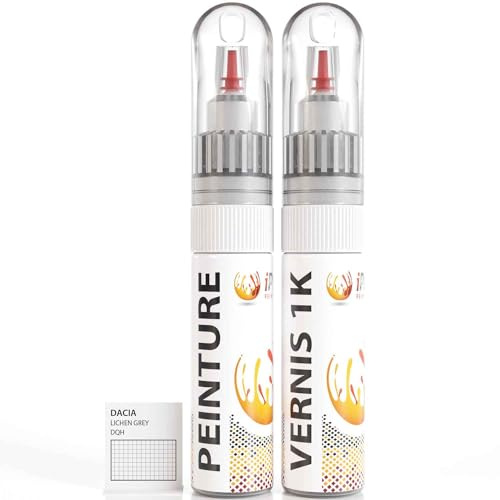 ipixline Kit Retouche Peinture Carrosserie Voiture - Stylo Correcteur Peinture Auto 30 ml, Vernis Brillant 1k 30 ml - Compatible avec Dacia - Lichen Grey DQH