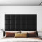 Tidyard Panneaux muraux 12 pcs Noir 30x30 cm Similicuir 1,08 m², Murale Décorative pour Murs de Fond de la Télévision, Cuisine, Intérieure, Salon, Chambre, Salle de Jeu