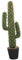 BATHVEVE Cactus Artificiale in Vaso Con Design Realistico Piante Grasse Decorative Per Interni Per Ufficio Bagno e Decorazioni Domestiche Senza Manutenzione e Allergeni Materiale Plasticoso