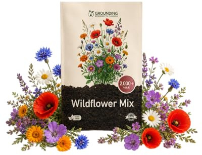 Grounding - Semi Miscuglio Fiori di Campo (Wildflower Mix) Multicolore, 2000+ semi - Effetto prato rustico “meadow” - Copertura 5 m² - Qualità Europea