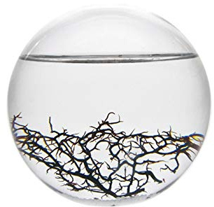shoppingwunder Ecosphere - Das Original nach NASA (Kleine Kugel) aus Glas