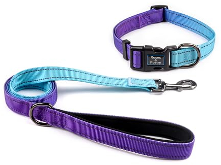 Reflektierendes Hundehalsband und Leine mit Farbverlauf, Violett, verstellbar, langlebig, Haustierhalsband, Leine für kleine Hunde (Violett-L)
