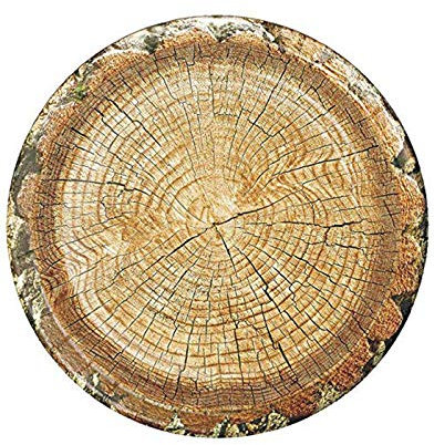 Havercamp Cut Timber 10 Party Plates (8 Plates)! 8 Lg. Round Dinner Paper Plates from The Cut Timber Party Collection
