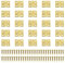 Gotetiso 100 Pièces Mini Charniere Rétro Charnières Connecteurs Charniere Laiton Petite Charnières Métal Charnière Miniature avec Vis Cabinet Porte Tiroir Coffre