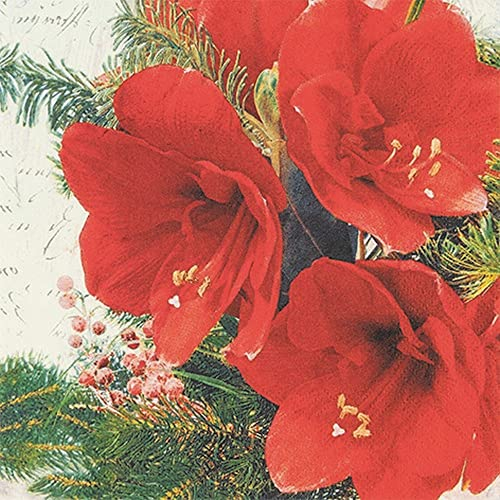 Lot de 20 serviettes en forme de fleurs d'amaryllis rouges | fleurs | hiver | Noël | décoration de table | découpage | technique de serviette 33 x 33 cm
