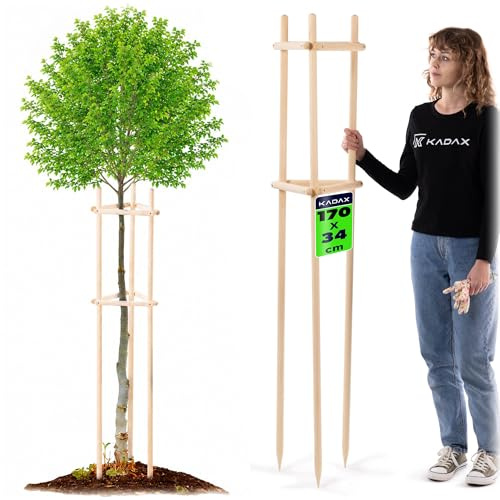 KADAX Baumstütze 170 cm aus robustem Holz, Baumpfahl zur sicheren Fixierung junger Bäume & Sträucher, dreibeinige Pflanzenstütze aus Buchenholz für Garten