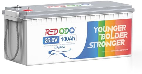 Redodo 24V 100Ah Batterie Lithium,Batterie LiFePO4 à Cycle Profond,BMS 100A Intégré,Batteries Rechargeables 4000+ Cycles,Puissance de Charge Maximale de 2560W,pour VR/Camping-Car,Bateaux