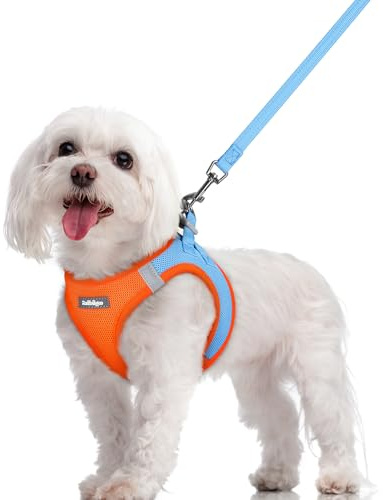 rabbitgoo Hundegeschirr Kleine Hunde mit Leine Step-in, Blau & Orange, M | Einfach anzulegen, Atmungsaktiv, Weiches Mesh & Reflektierend, Sicherheitsverschluss mit 1,5m Leine für Kleine Mittlere Hunde