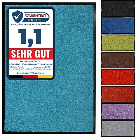 Floordirekt Schmutzfangmatte Monochrom | Fussmatte in 10 Größen & 8 Farben | Türmatte für innen & außen (60 x 90 cm, Türkis)