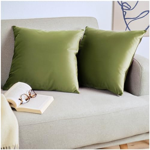 Blumtal 2er Set Kissenbezug 40x60 cm Grün - dekorativer Samt Kissenbezug mit verstecktem Reißverschluss, Kissenhülle für Zierkissen Deko-Kissen Polster Sofakissen & Couchkissen, waschbar
