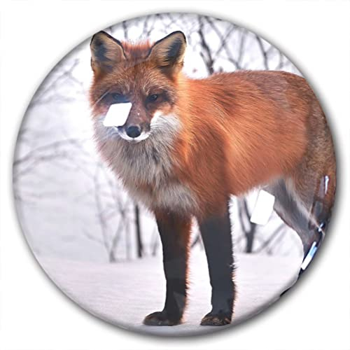 Kühlschrankmagnet, Fuchs, dekorativer Magnet, Reise-Souvenir, Kristallglas