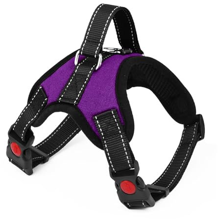 Hundegeschirr Verstellbares Reflektierendes Hundegeschirr Sicherheitsgeschirr für Mittlere Große Hunde Brustgeschirr Dog Harness Weich Gepolstert Atmungsaktiv (Lila, S)